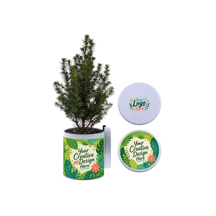 Plant in Blik 