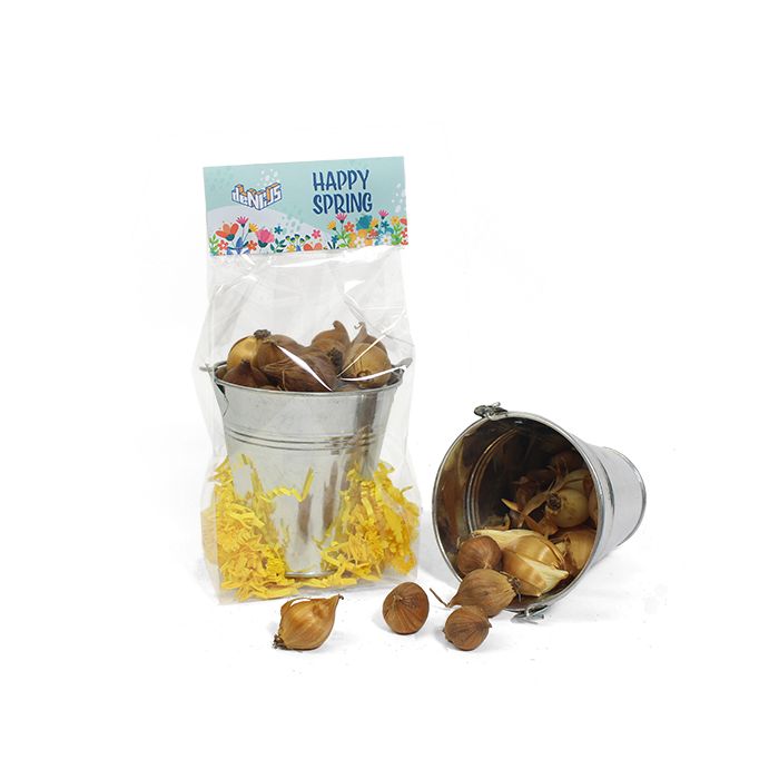 Zinken emmer met bloembollen