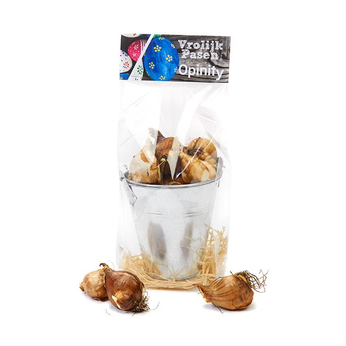 Zinken emmertje met bloembollen