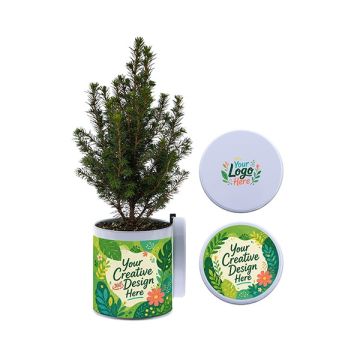 Plant in Blik 