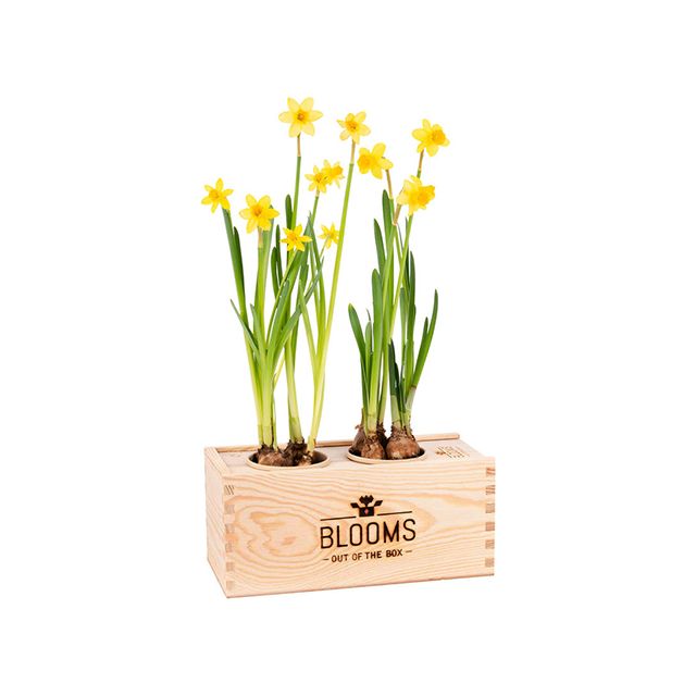 Bloem verzendbox