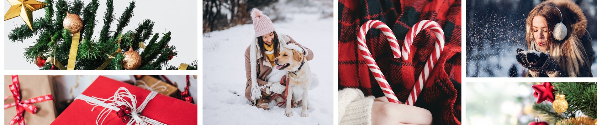 Veel gestelde vragen