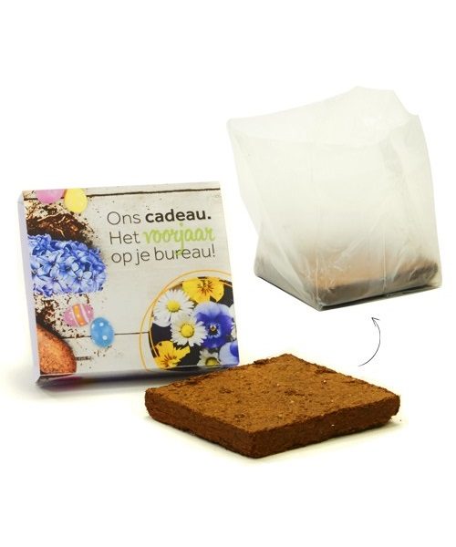 Op zoek naar een paasgift? Combineer Pasen en de lente met groene voorjaarsgeschenken