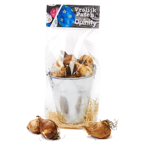 Emmertje met bloembollen