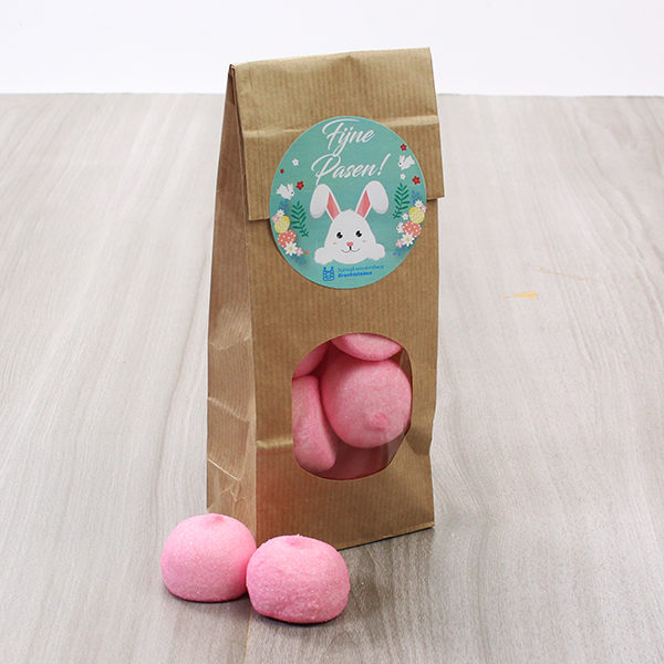 Springkussenverhuur Drechtsteden geeft vrolijke spekbollen weg